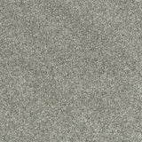 Abingdon Deep Feelings - Pewter Carpet