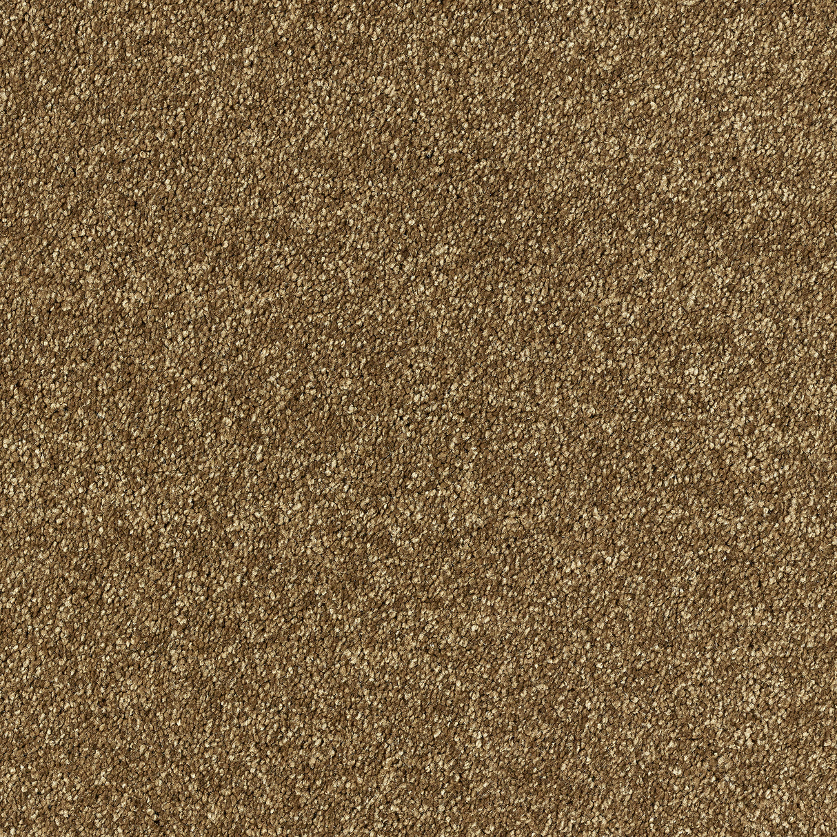 Abingdon Deep Feelings - Rich Caramel Carpet