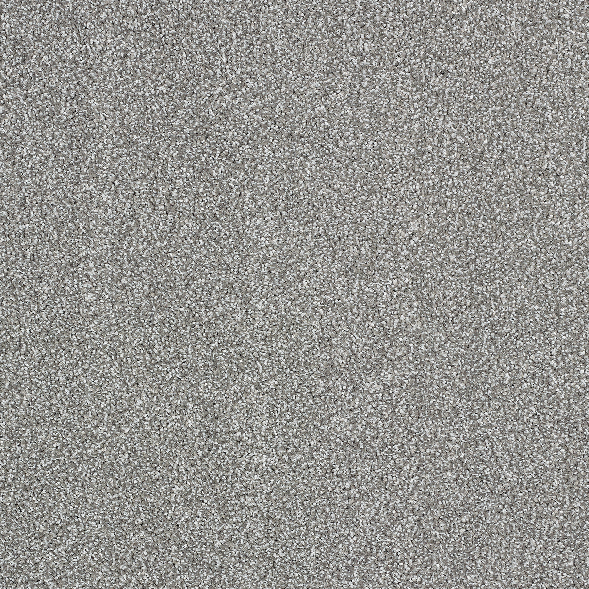 Abingdon Aristocat - Pewter Carpet