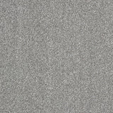 Abingdon Aristocat - Pewter Carpet