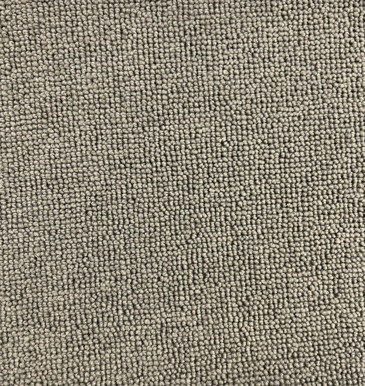 Condor 76 Sandringham - 50% Wool Berber Carpet (Limited Stock)