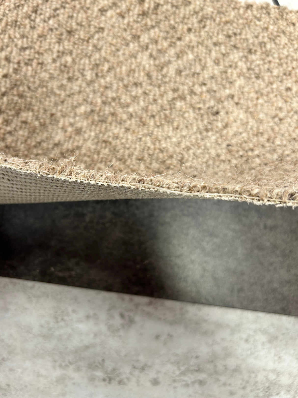 Bleinheim Structure - 374 Wheat - 100% Wool Berber Carpet (Limited Stock)