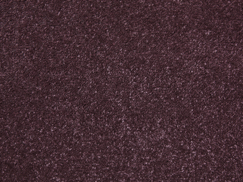 Kingsmead Amazing - Plum Carpet