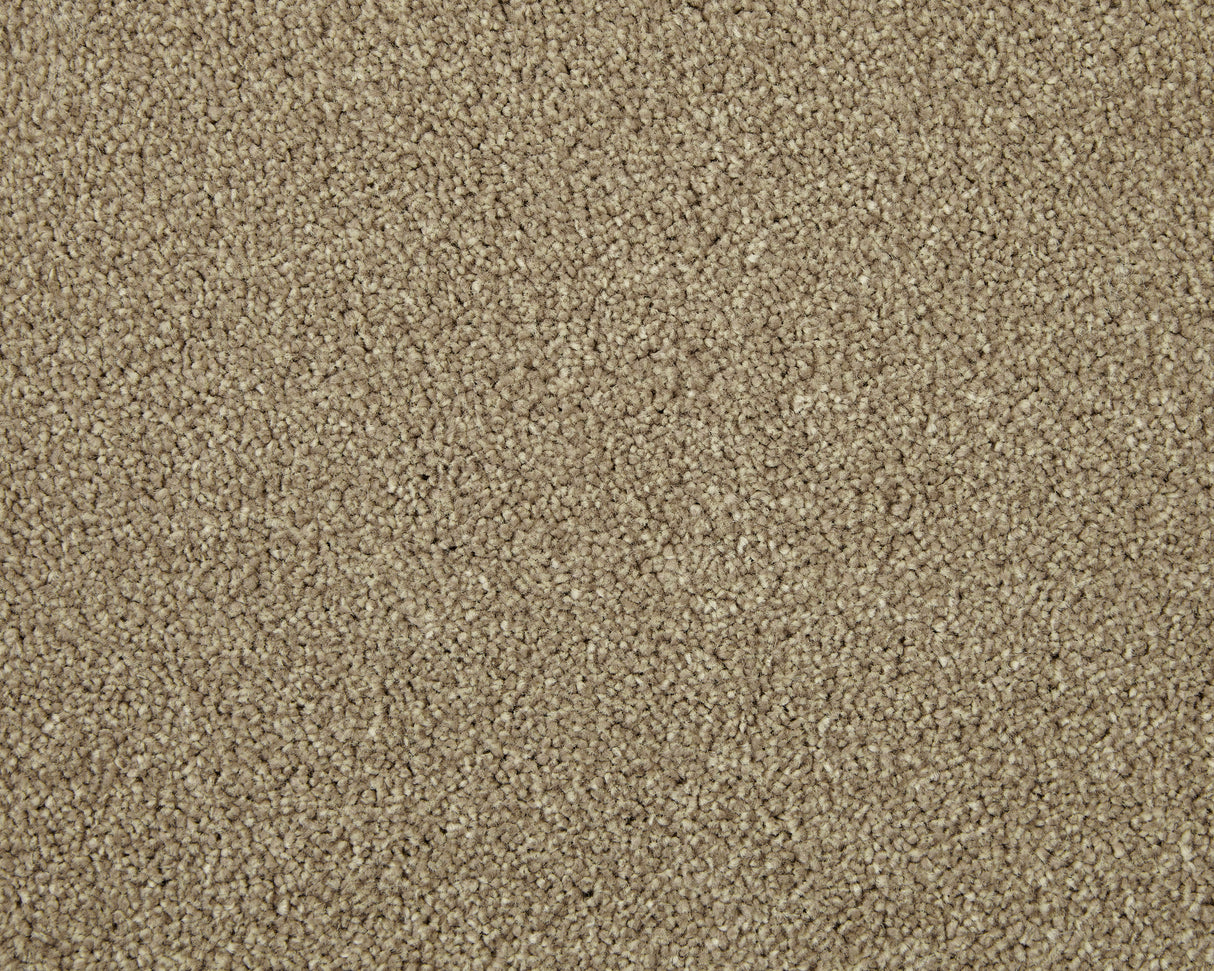 Cormar Apollo Elite - Helmsley Hazelnut Carpet