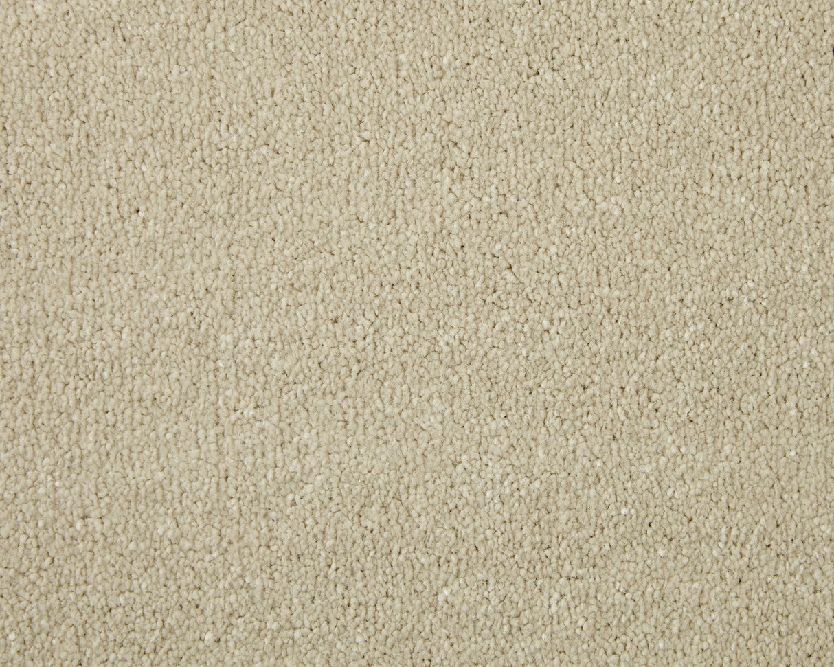 Cormar Apollo Elite - Pale Angora Carpet