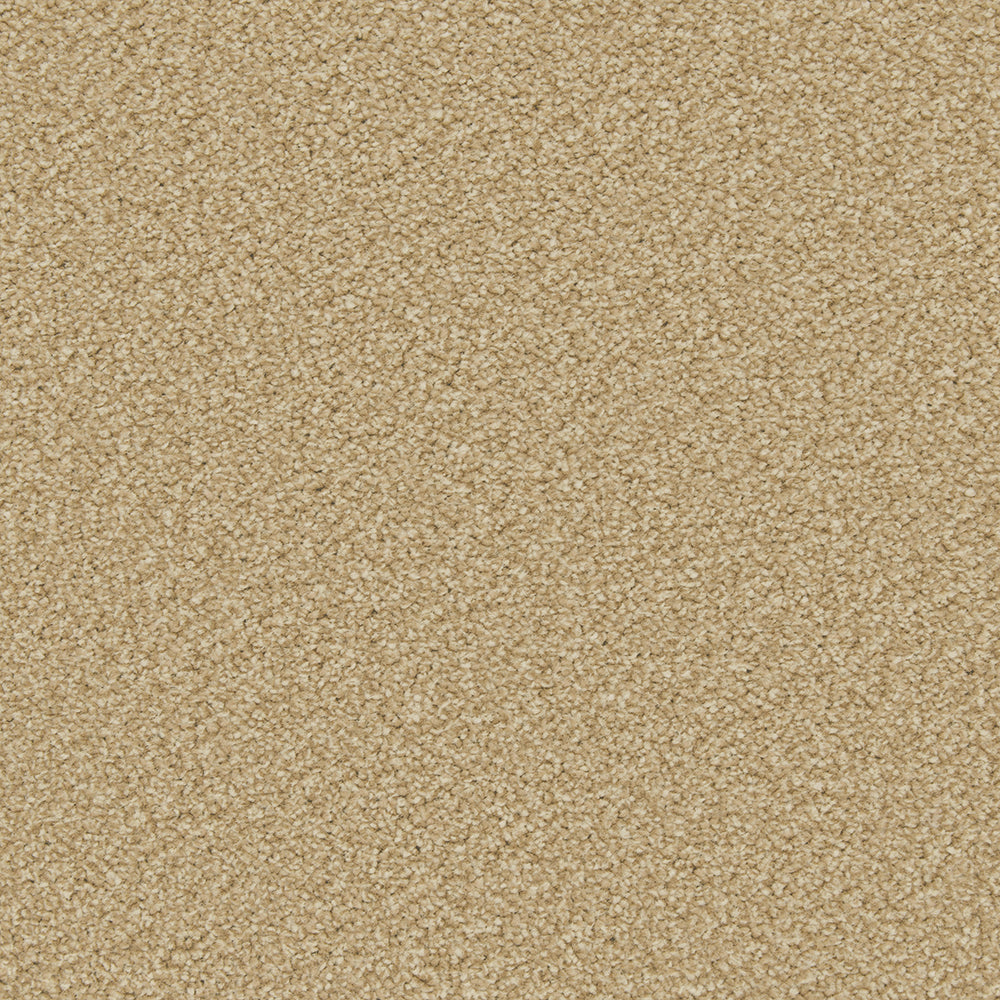 Cormar Apollo Plus - Caramel Carpet