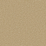 Cormar Apollo Plus - Caramel Carpet