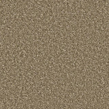 Cormar Apollo Plus - Cork Oak Carpet