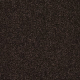 Abingdon Stainfree Caress - Bourneville Carpet