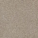 Kingsmead Bliss - Sandstone Carpet