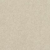 Abingdon Stainfree Caress - Cotton Carpet