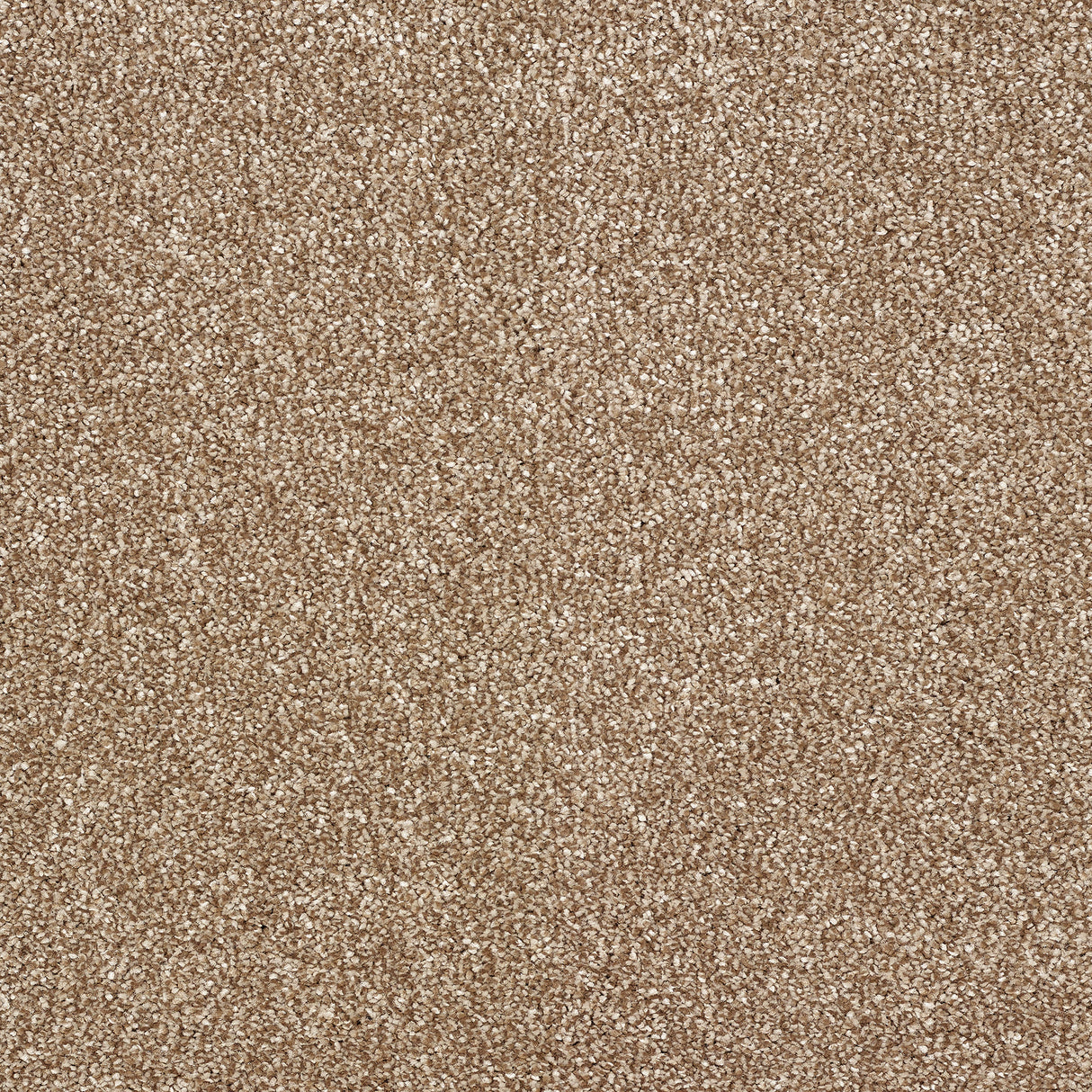 Abingdon Stainfree Indulgence - Cappuccino Carpet