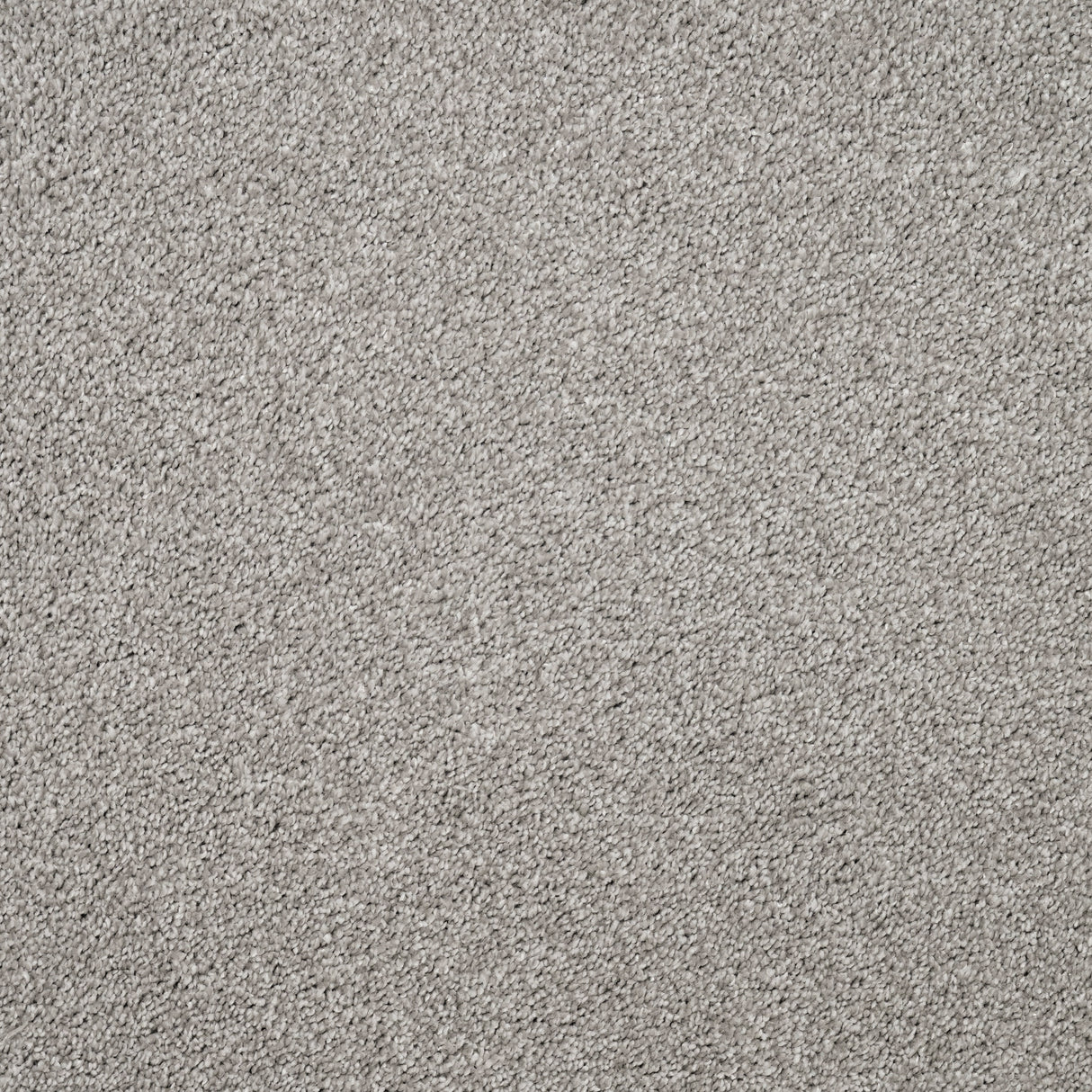 Furlongs Charme - Inox Carpet