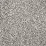 Furlongs Charme - Inox Carpet