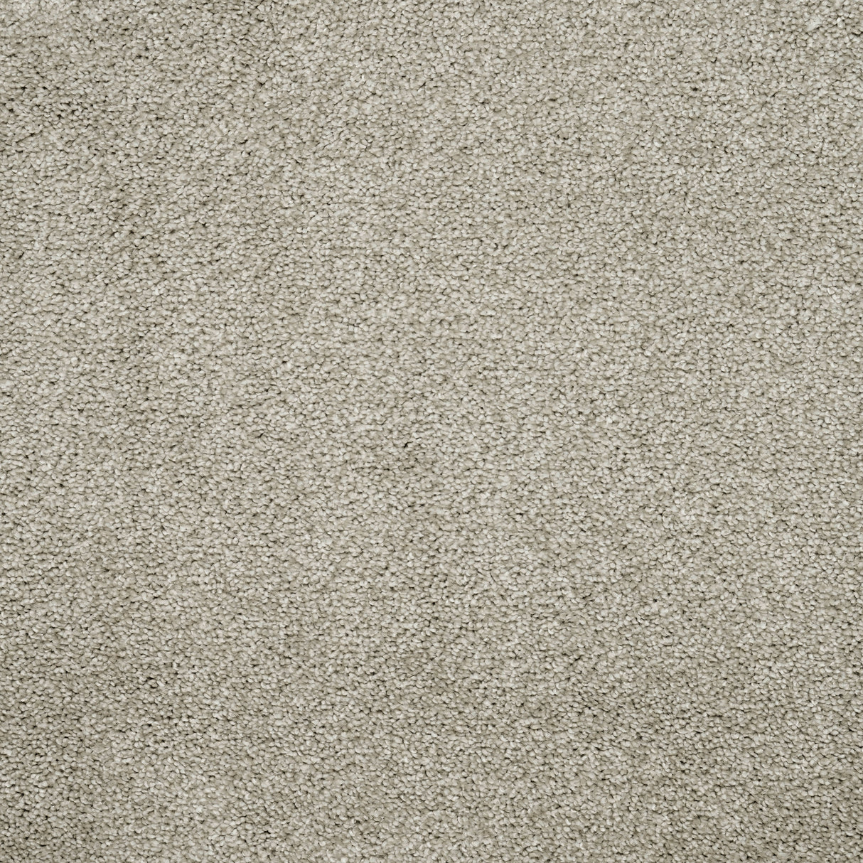 Furlongs Charme - Bleachstone Carpet