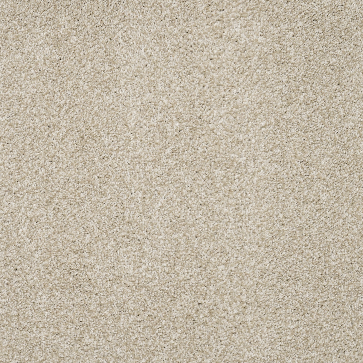 Furlongs Charme - Cream Carpet