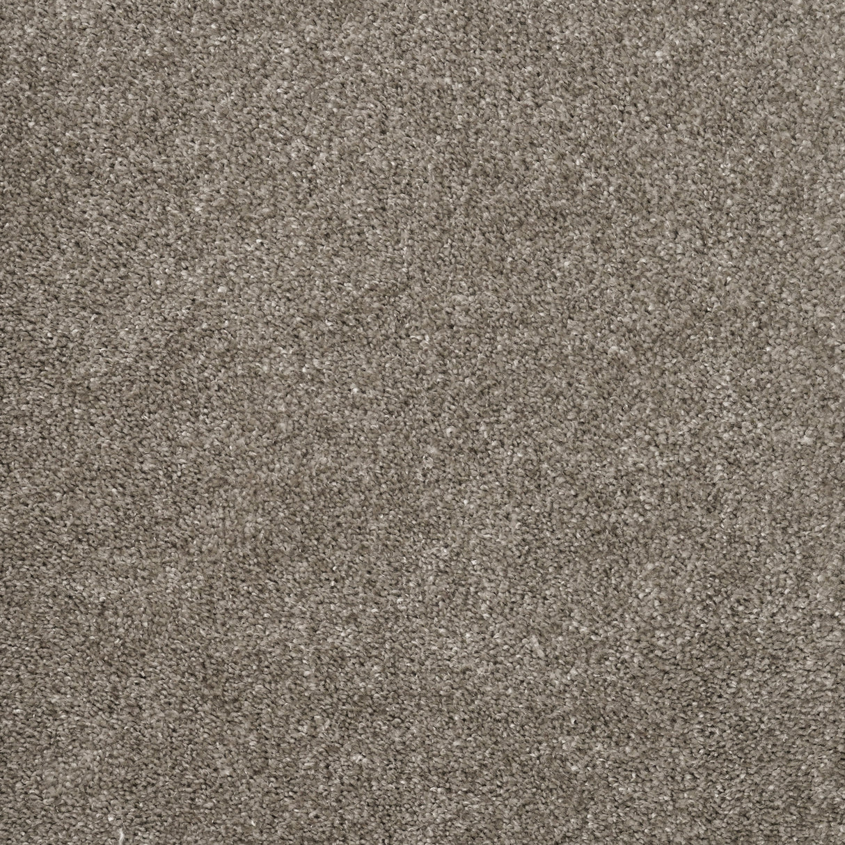 Furlongs Charme - Peat Carpet