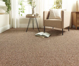 Abingdon Wild Silk - Treasure Island Carpet