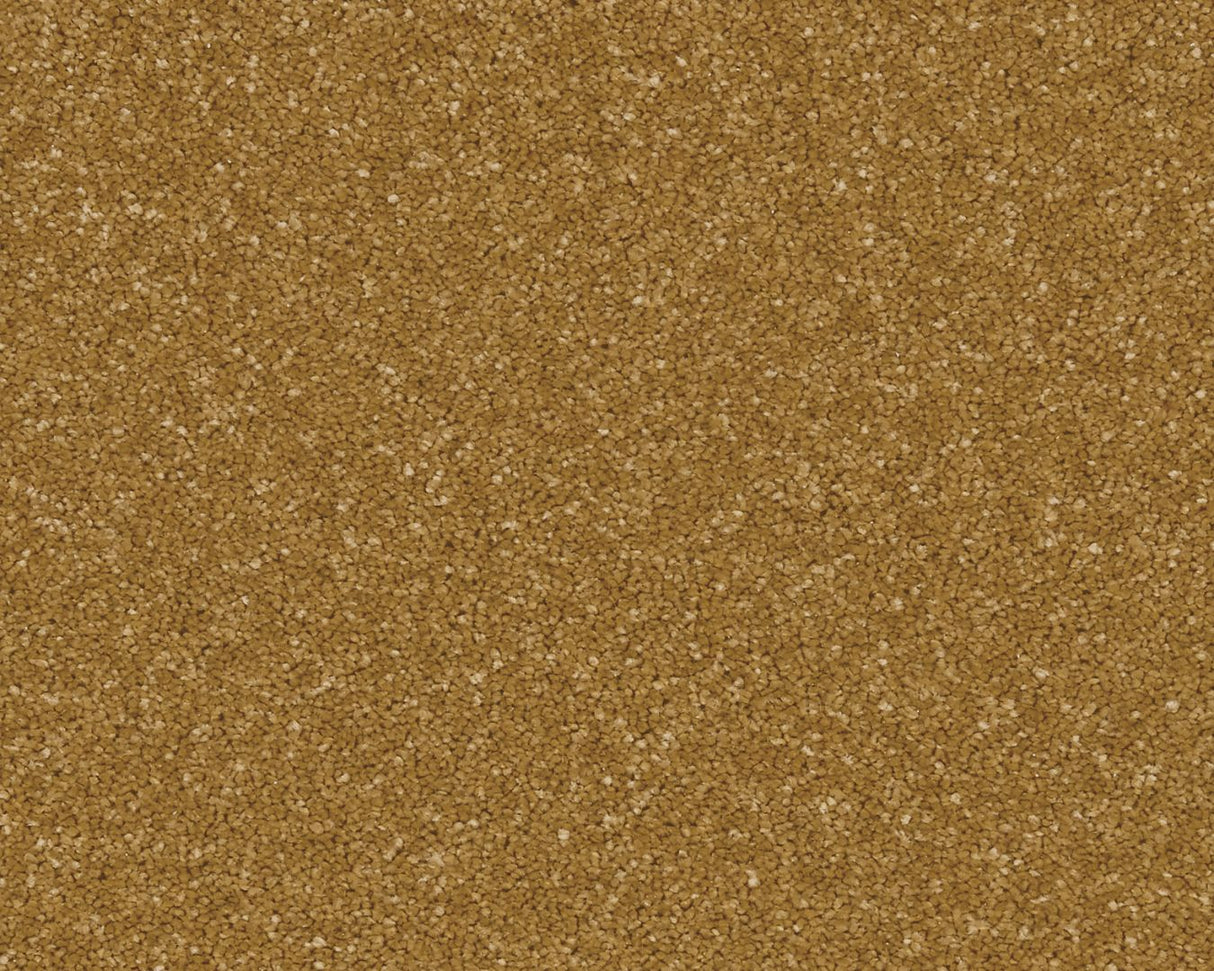 Cormar Linwood - Midas Touch Carpet