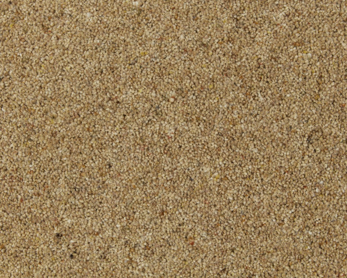 Cormar Natural Berber Elite Twist - Marigold Carpet