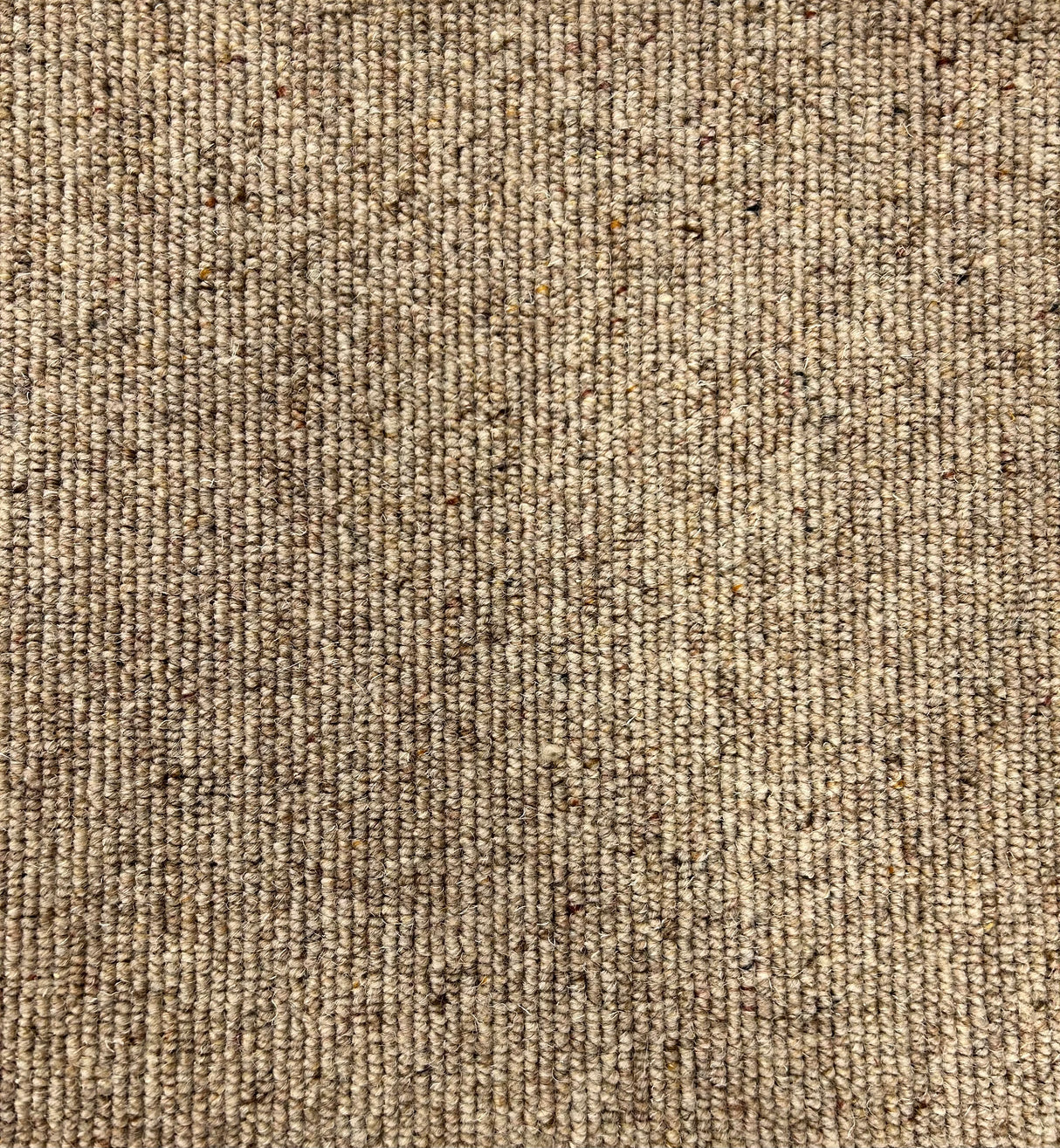 Bleinheim Plain - 274 Wheat - 100% Wool Berber Carpet (Limited Stock)