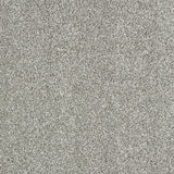 Abingdon Stainfree Indulgence - Dove Grey Carpet