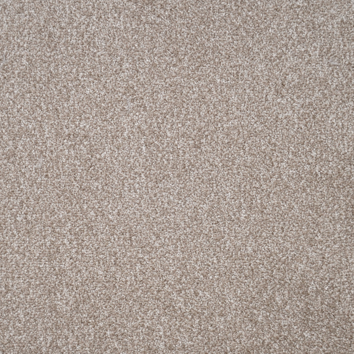 Furlongs Duchesse - Coquille Carpet