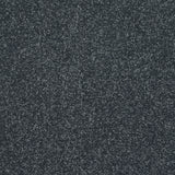 Abingdon Stainfree Caress - Ebony Carpet