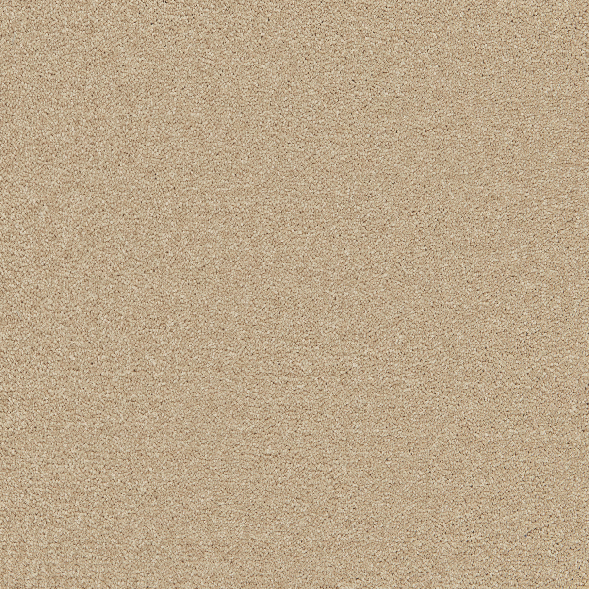 Furlongs Enchantment Elite - Clouded Beige Carpet