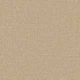 Furlongs Enchantment Elite - Clouded Beige Carpet