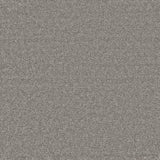 Furlongs Enchantment Elite - Greylink Carpet