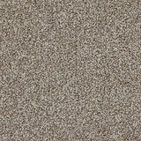 Kingsmead Hideaway - Warm Tone Carpet