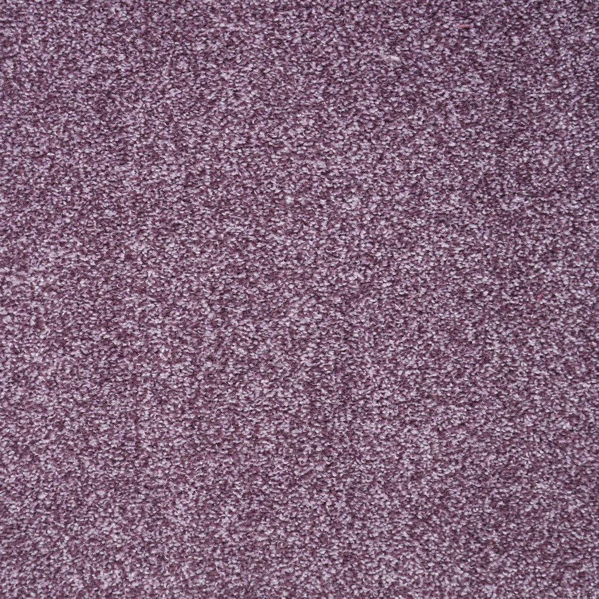 Furlongs Harmony - Amethyst Carpet