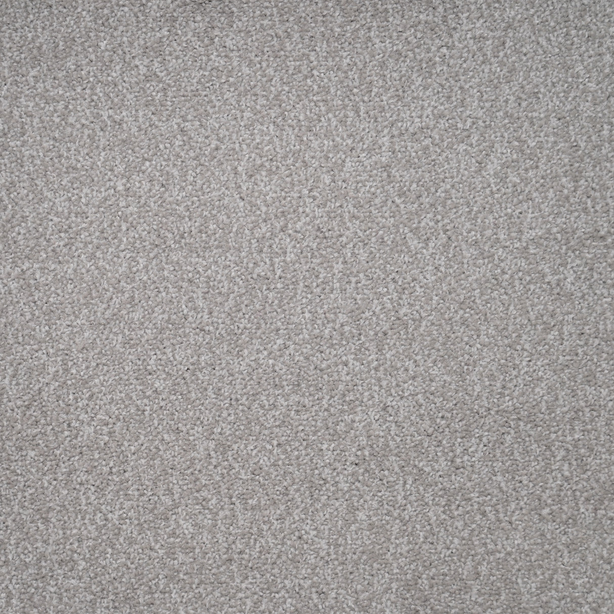 Furlongs Harmony - Inox Carpet