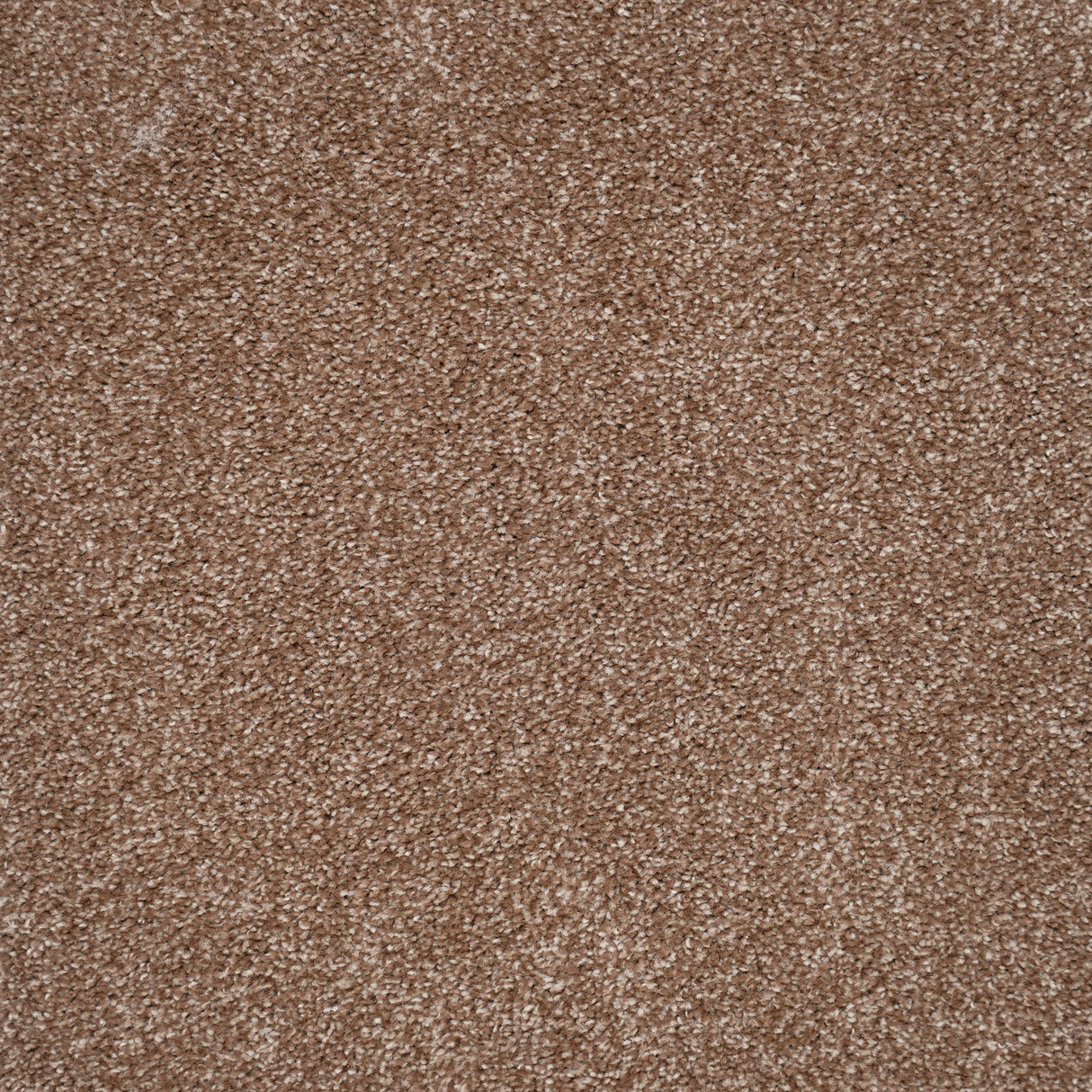 Furlongs Harmony - Saddle Carpet