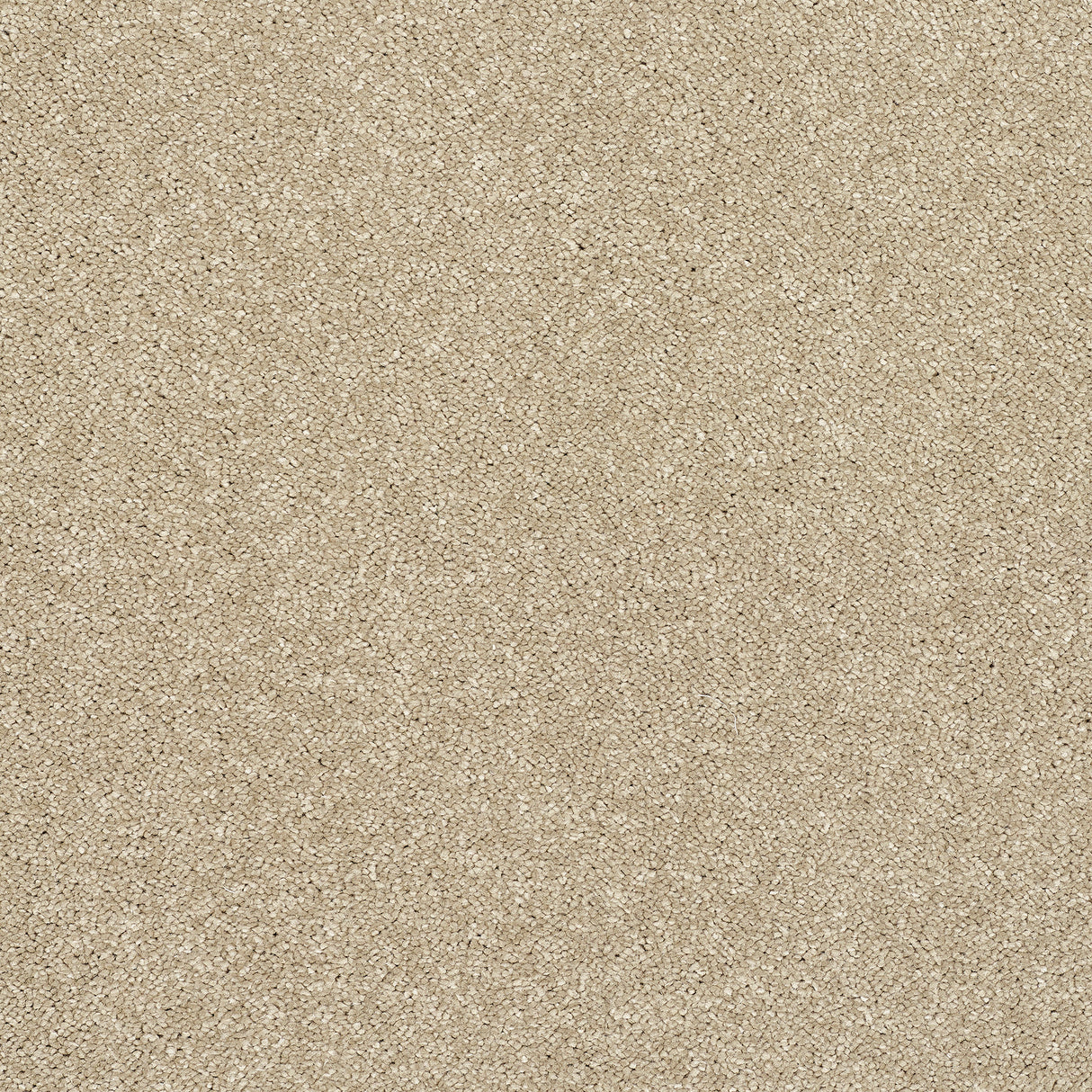 Abingdon Stainfree Caress - Latte Carpet