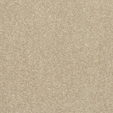 Abingdon Stainfree Caress - Latte Carpet