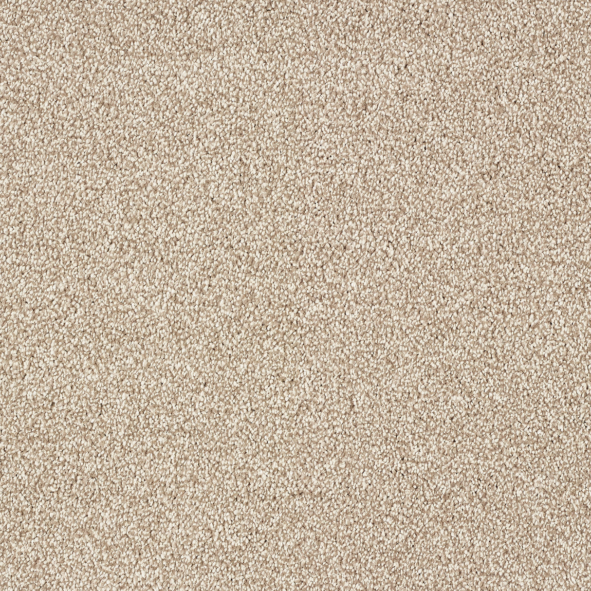 Abingdon Stainfree Indulgence - Nutmeg Carpet