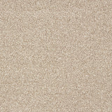 Abingdon Stainfree Indulgence - Nutmeg Carpet