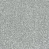 Abingdon Stainfree Caress - Platinum Carpet