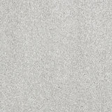 Abingdon Stainfree Indulgence - Pearlescent Carpet