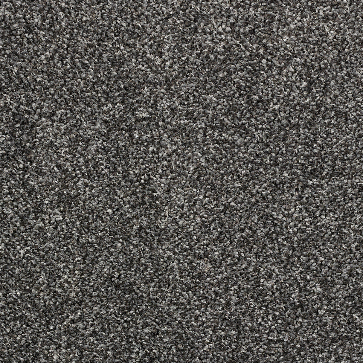 Abingdon Stainfree Affluence - Platinum Carpet