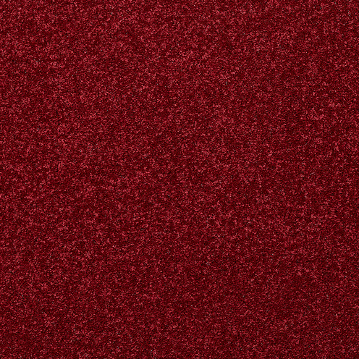 Abingdon Stainfree Caress - Rioja Carpet