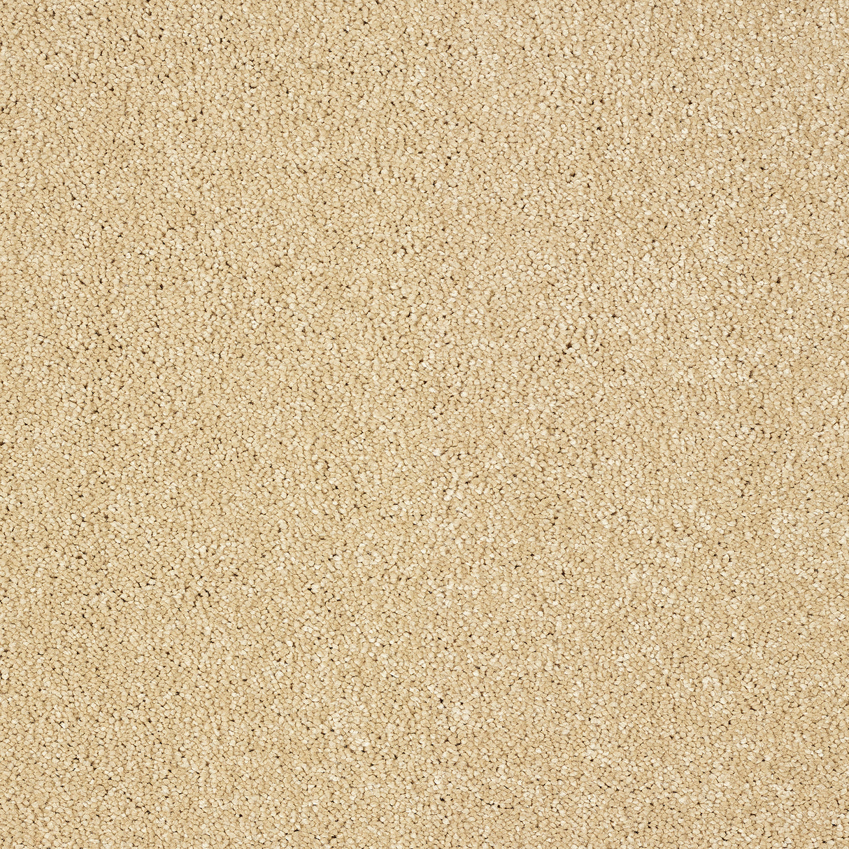 Abingdon Stainfree Indulgence - Sea shell Carpet