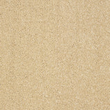 Abingdon Stainfree Indulgence - Sea shell Carpet