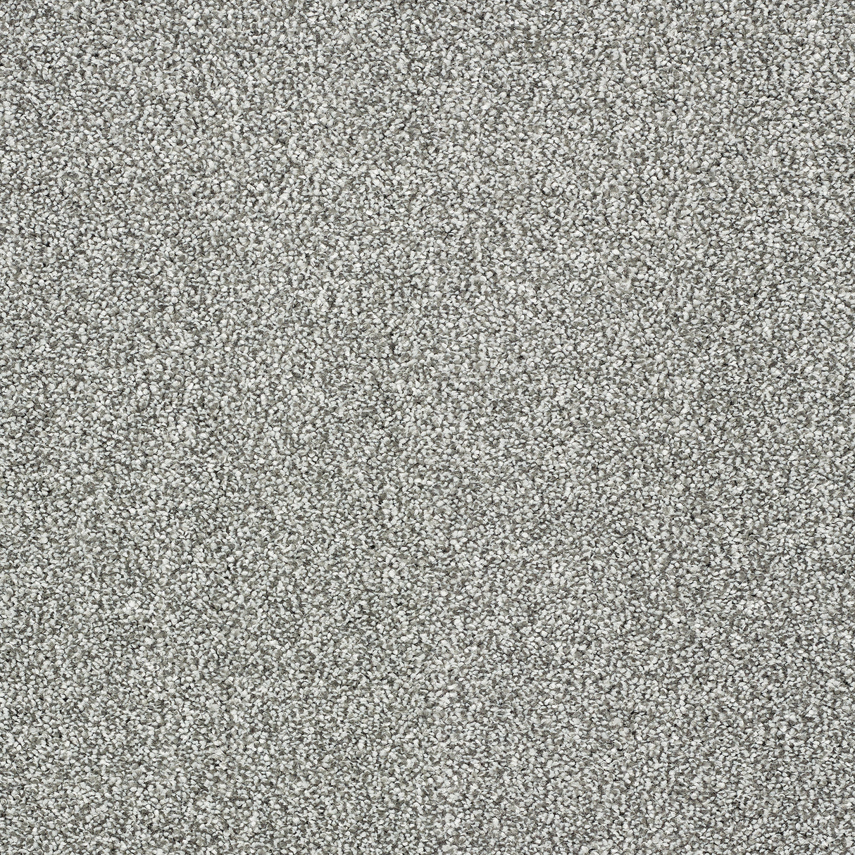 Abingdon Stainfree Indulgence - Silver Dollar Carpet