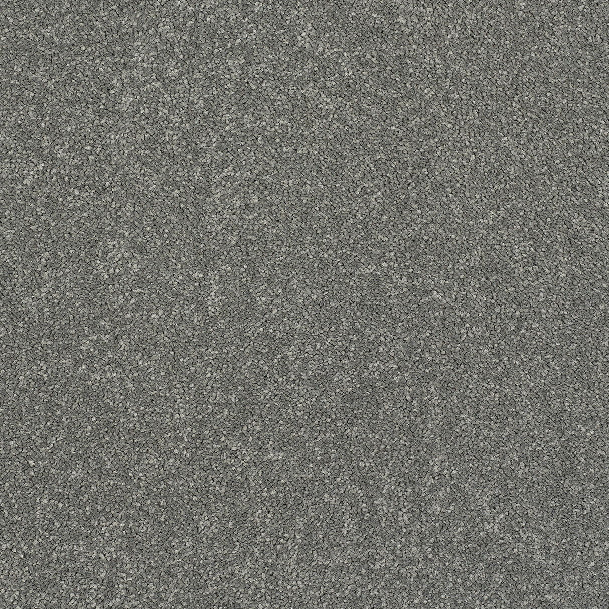 Abingdon Stainfree Caress - Titanium Carpet