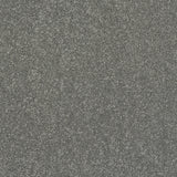 Abingdon Stainfree Caress - Titanium Carpet