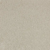 Kingsmead Temptation - Ivory Carpet