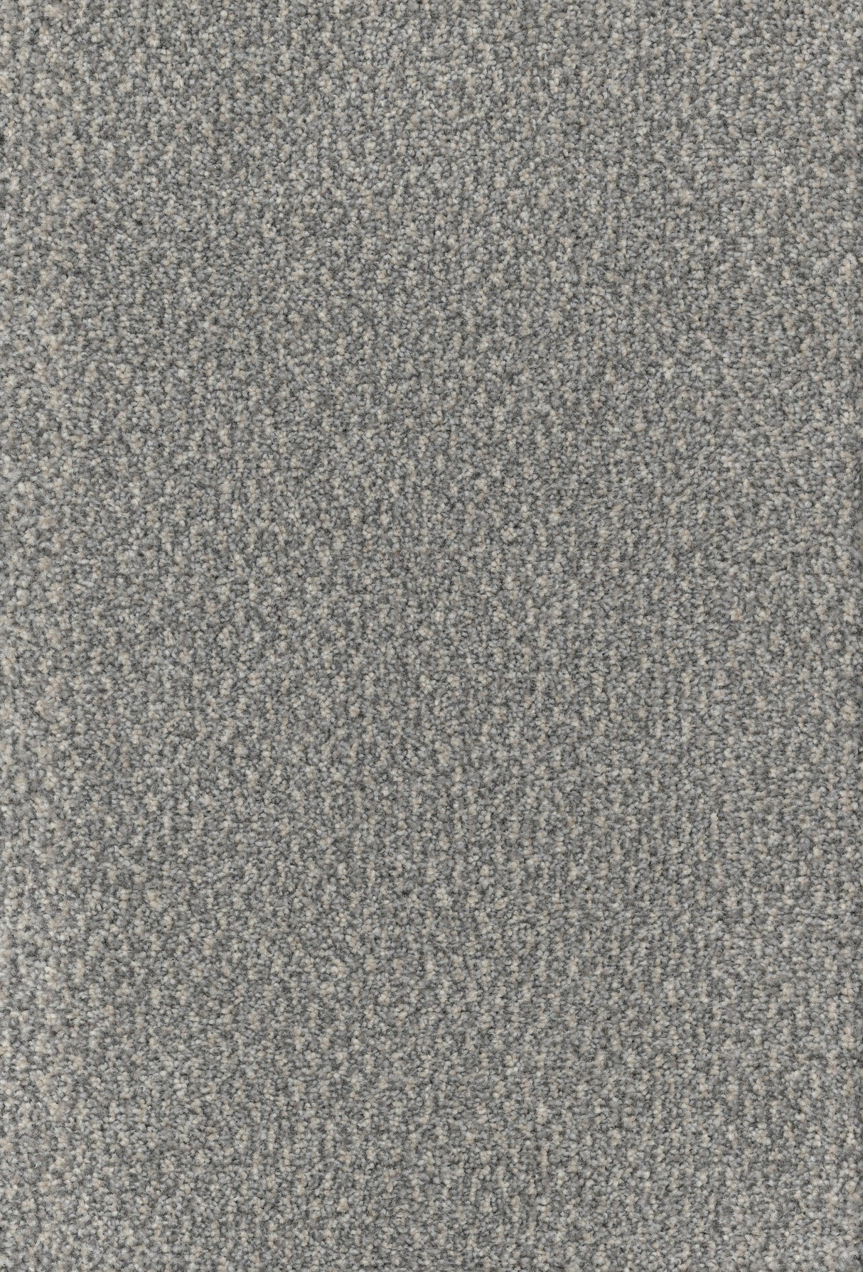 Furlongs Trident Tweed - Tundra Carpet